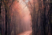 为什么要强调布线标准和机房标准！